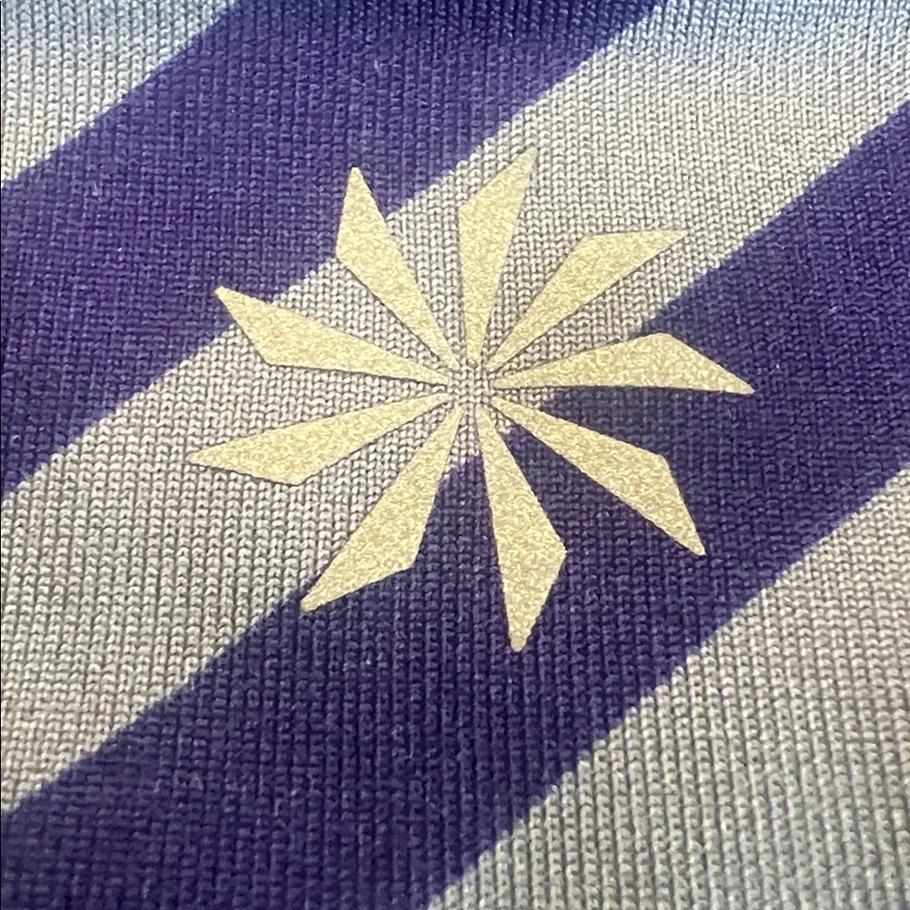 Athleta Swagger Fly By Tiered Striped Tennis Golf Running Skort Purple Gray Sz M